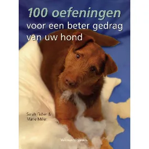 Afbeelding van 100 oefeningen voor een beter gedrag van uw hond
