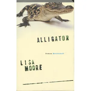 Afbeelding van Alligator
