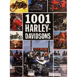 Afbeelding van 1001 Harley-Davidsons