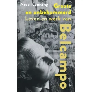 Afbeelding van Groots en onbekommerd - Nico Keuning - eBook