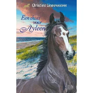 Afbeelding van Een thuis voor Ayleen - Christine Linneweever - eBook