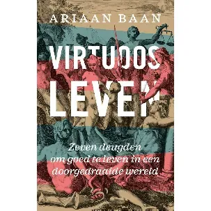 Afbeelding van Virtuoos leven - Ariaan Baan - eBook