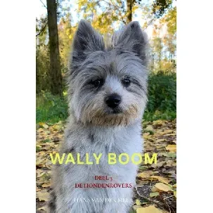 Afbeelding van Wally Boom - Hans Van der Meer - eBook