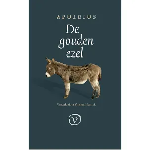 Afbeelding van De gouden ezel - Apuleius - eBook