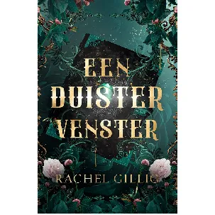 Afbeelding van Een duister venster - Rachel Gillig - eBook