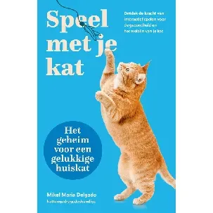 Afbeelding van Speel met je kat: het geheim voor een gelukkige huiskat - Mikel Maria Delgado - eBook