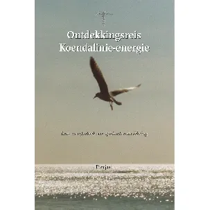 Afbeelding van Ontdekkingsreis Koendalinie-energie - Pierjasi - eBook