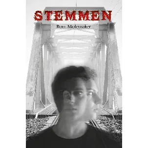 Afbeelding van Stemmen - Rom Molemaker - eBook