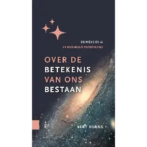 Afbeelding van Over de betekenis van ons bestaan - Bert Koene - eBook