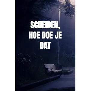 Afbeelding van Scheiden, hoe doe je dat - R.M. van Schaik - eBook