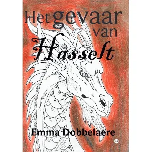 Afbeelding van Het gevaar van Hasselt