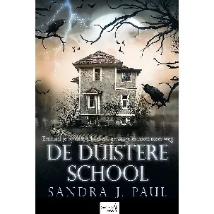 Afbeelding van De Duistere School