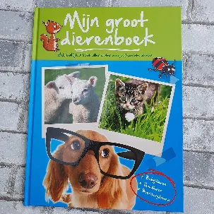 Afbeelding van Mijn groot dierenboek - Alles wat je altijd al hebt willen weten over onze wereld - XL boek - Babydieren - Huisdieren - Boerderijdieren - Boek - Educatief boek