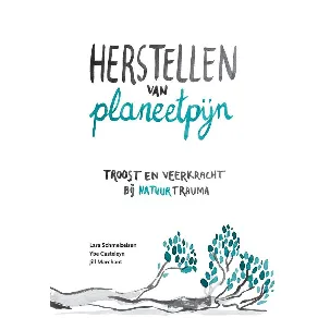 Afbeelding van Herstellen van planeetpijn