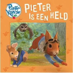 Afbeelding van Pieter Konijn - Pieter is een held