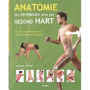 Afbeelding van Anatomie van oefeningen voor een gezond hart