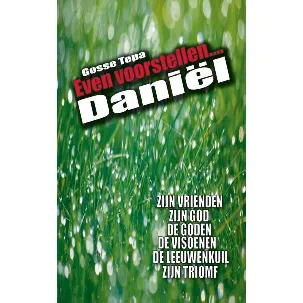 Afbeelding van Daniel