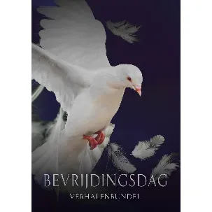 Afbeelding van Bevrijdingsdag