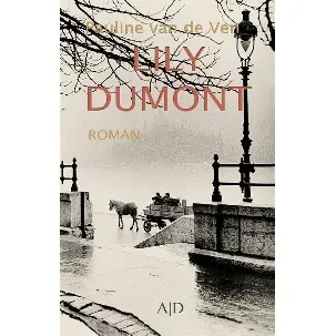 Afbeelding van De familie Dumont 2 - Lily Dumont