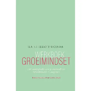 Afbeelding van Werkboek groeimindset