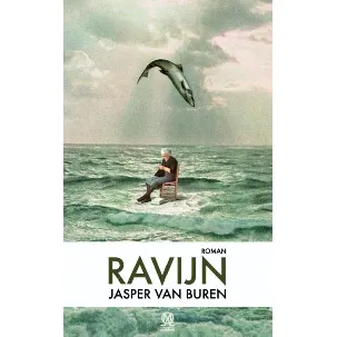 Afbeelding van Ravijn