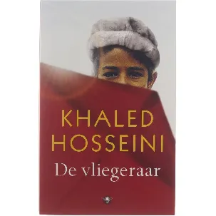 Afbeelding van De vliegeraar