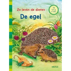 Afbeelding van Zo leven de dieren - De egel