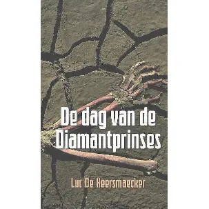 Afbeelding van Dag van de diamantprinses