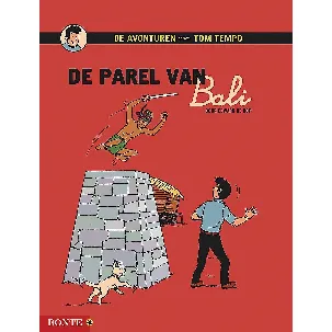 Afbeelding van De parel van Bali