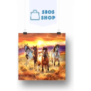 Afbeelding van SEOS Shop ® Diamond Painting Volwassenen - Diamond Painting Kinderen - Diamond Painting Pakket Volledig - Paarden in het Veld - 40x40 cm