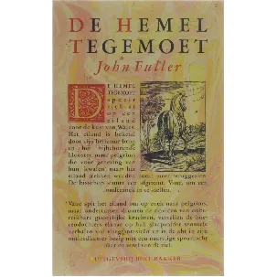 Afbeelding van De hemel tegemoet