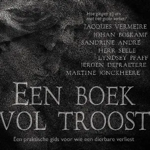 Afbeelding van Een boek vol troost