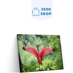 Afbeelding van SEOS Shop ® Diamond Painting Volwassenen - Diamond Painting Kinderen - Diamond Painting Pakket Volledig - Flamingo - 45x30 cm