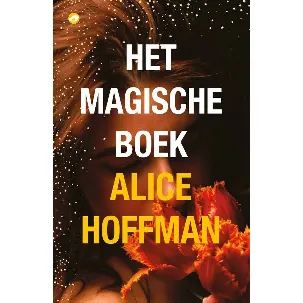 Afbeelding van Het magische boek