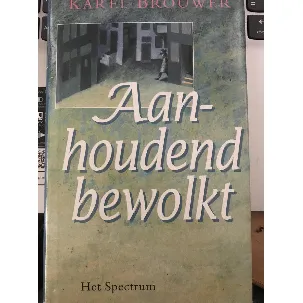 Afbeelding van Aanhoudend bewolkt