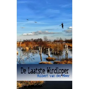 Afbeelding van De laatste windloper