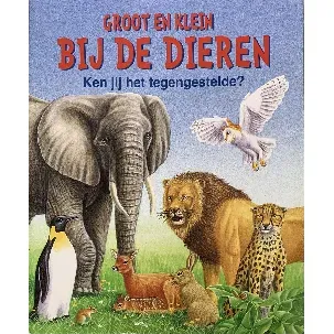 Afbeelding van Groot en klein: ken jij het tegengestelde