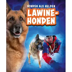 Afbeelding van Honden als helden - Lawinehonden