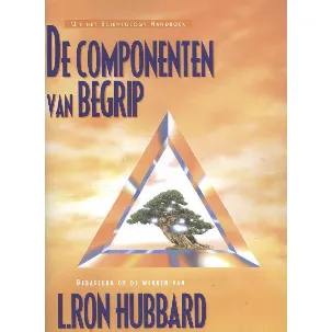 Afbeelding van De Componenten van Begrip