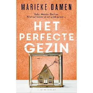 Afbeelding van Het perfecte gezin