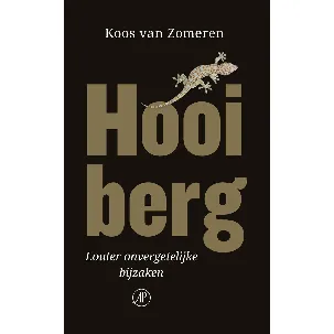 Afbeelding van Hooiberg