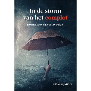 Afbeelding van In de storm van het complot