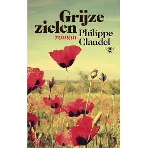 Afbeelding van Grijze zielen