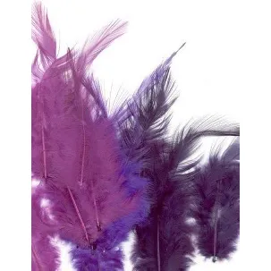 Afbeelding van Creative Feathers 8,5-15cm 15pcs purple