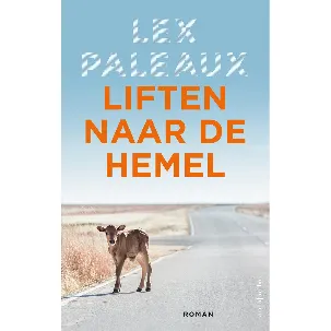 Afbeelding van Liften naar de hemel