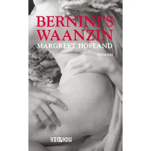 Afbeelding van Bernini's waanzin