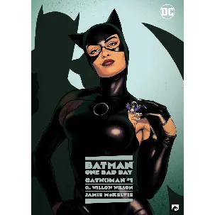 Afbeelding van Catwoman