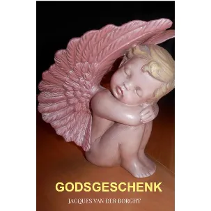 Afbeelding van Godsgeschenk