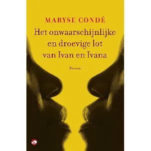 Afbeelding van Het onwaarschijnlijke en droevige lot van Ivan en Ivana