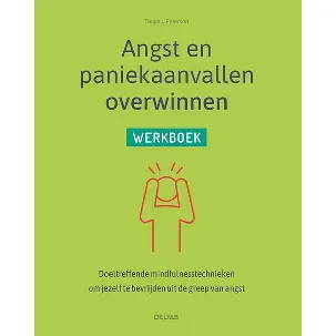 Afbeelding van Angst en paniekaanvallen overwinnen